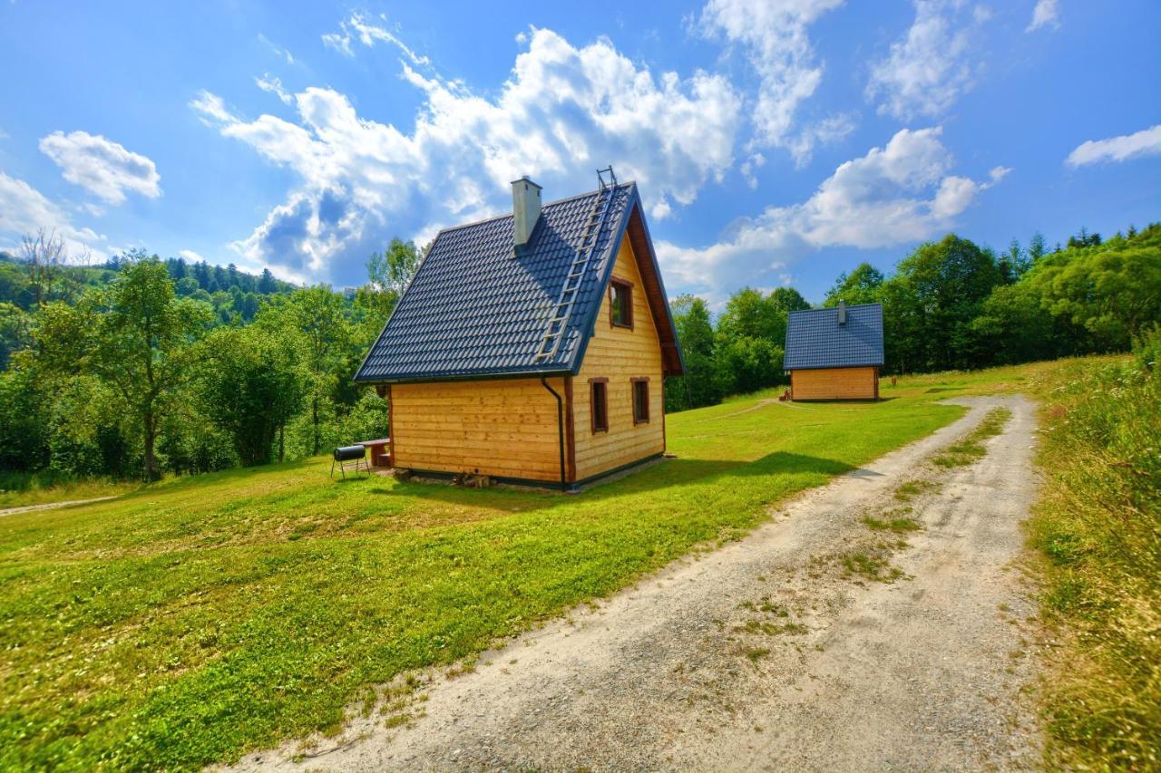Villa Dwernik Bukowina Bieszczady Exterior foto